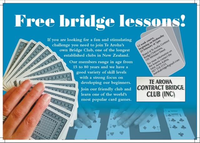bridge lessons